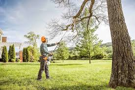 Organic Lawn Care Solutions in Kansas City, KS