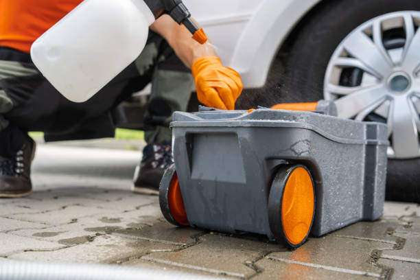 Best Lawn Renovation and Restoration  in Kansas City, KS